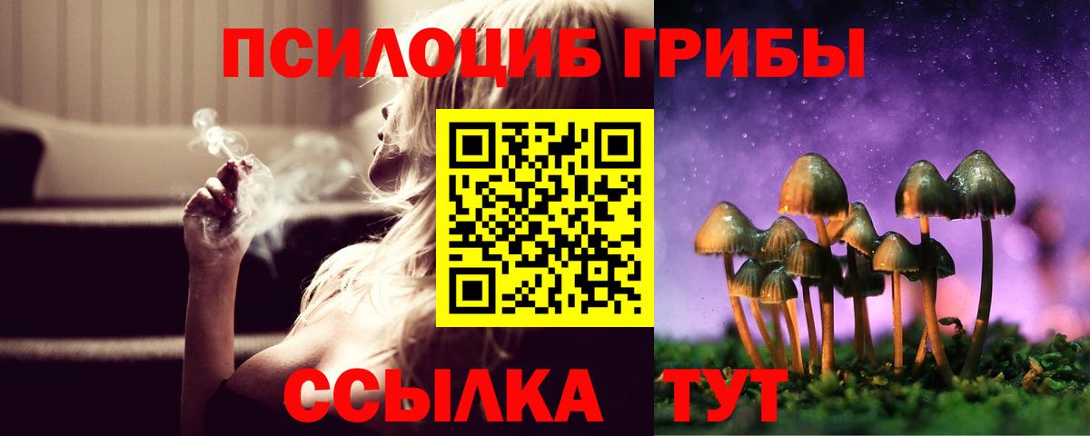 Псилоцибиновые грибы мухоморы  Вход с VPN  Галлюциногенные грибы прущие грибы  Тавда 